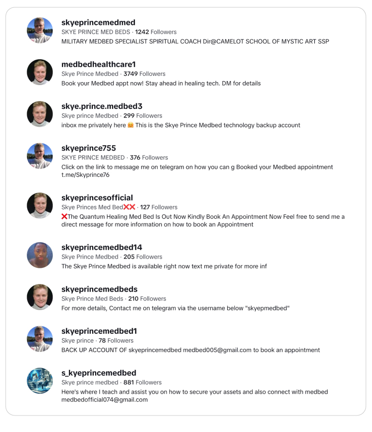 Some of the more than 60 TikTok accounts claiming to be associated with “Skye Prince” and “medbeds.”